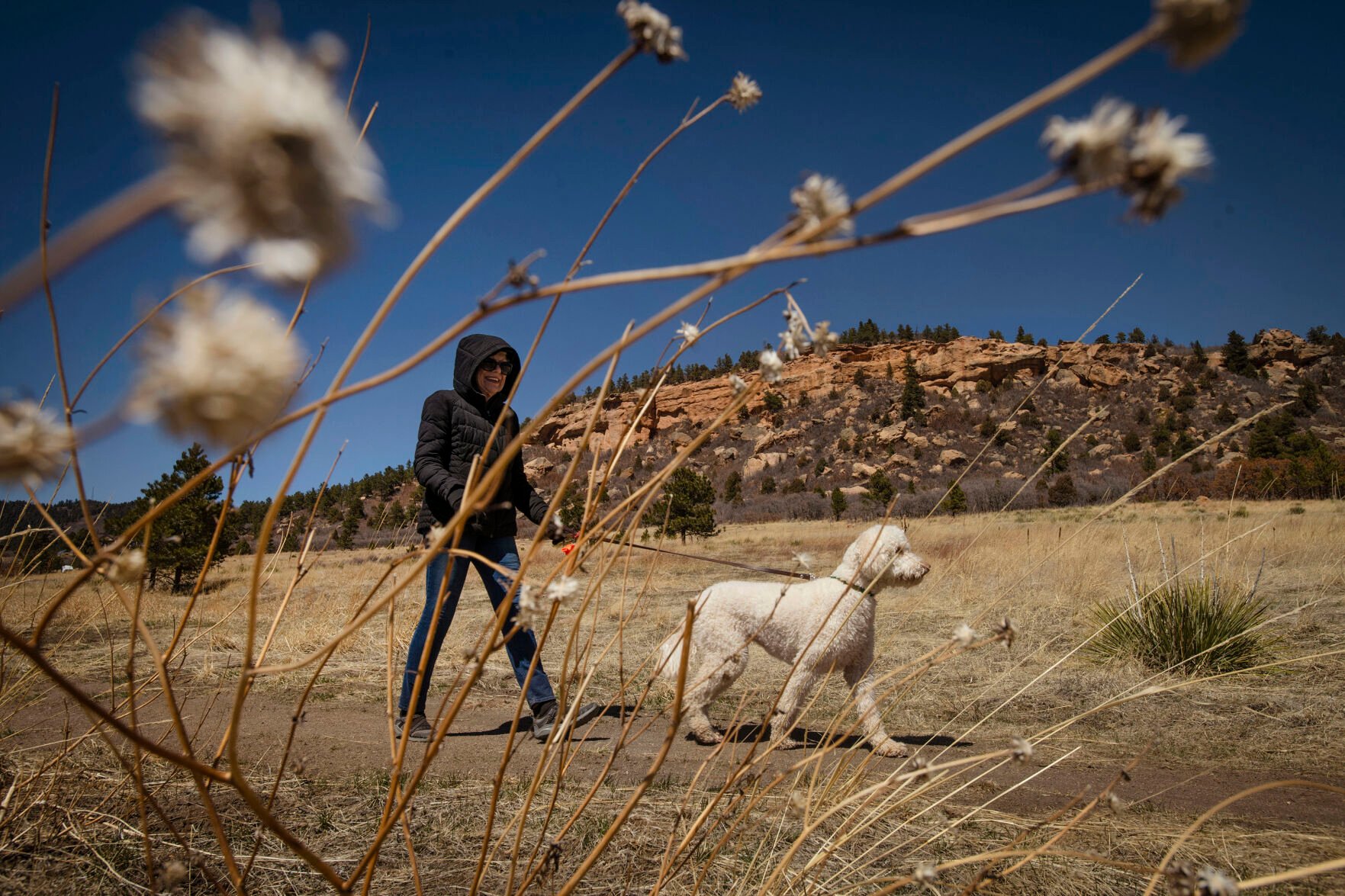Carolyn Hock walks her dog Barley at the Santa Fe Open Space in Palmer Lake on Thursday, April 7, 2022. El Paso County Parks newest open space spans 65 acres below the southern slopes of Ben Lomand Mountain. (Chancey Bush/ The Gazette) (Chancey Bush/ The Gazette)