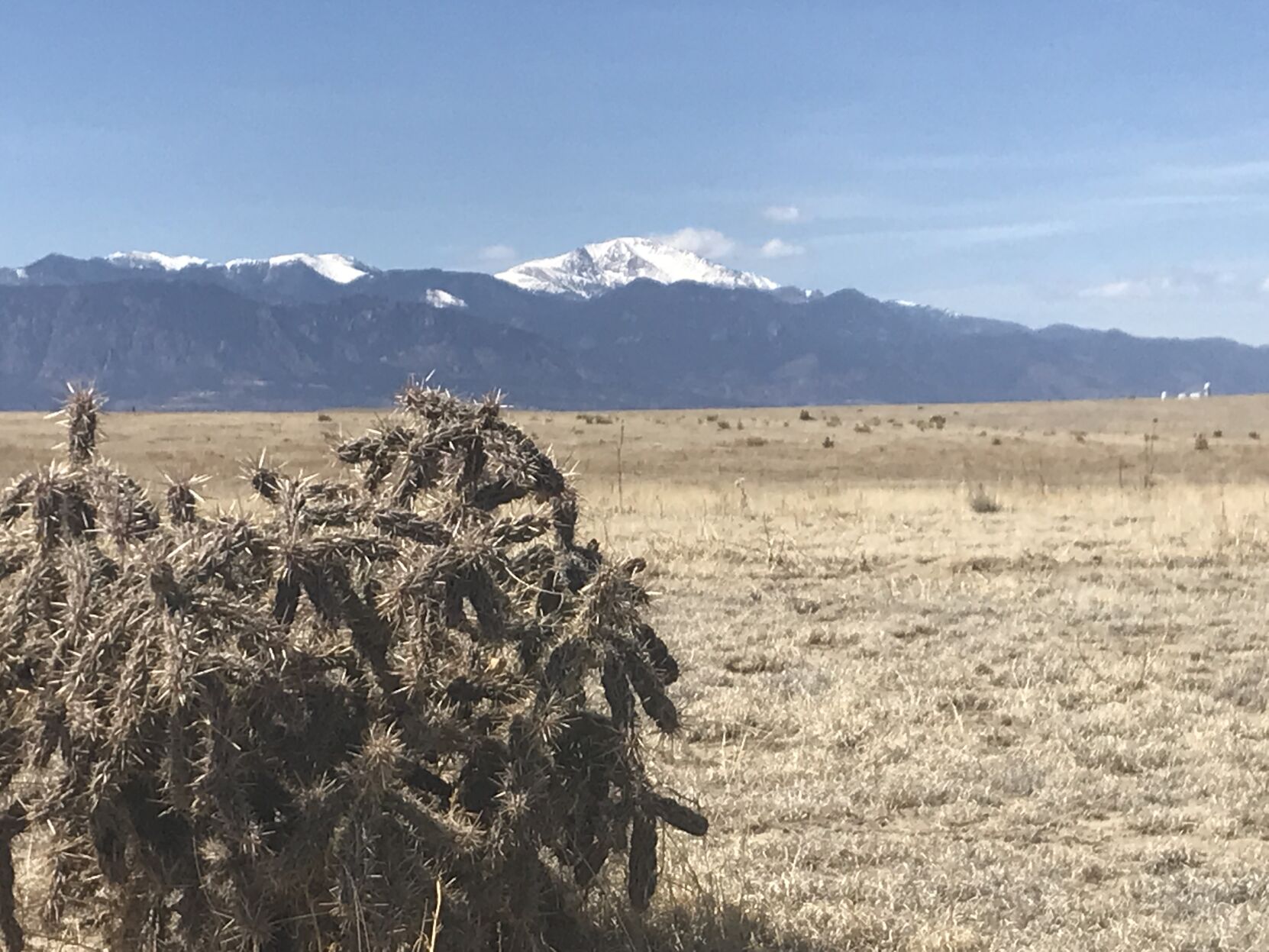 Pikes Peak in view from Kane Ranch Open Space east of Fountain. Gazette photo (the Gazette)