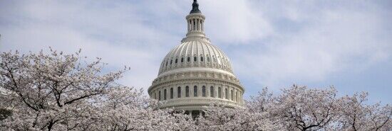 Proxy voting likely finished if Republicans win midterm elections