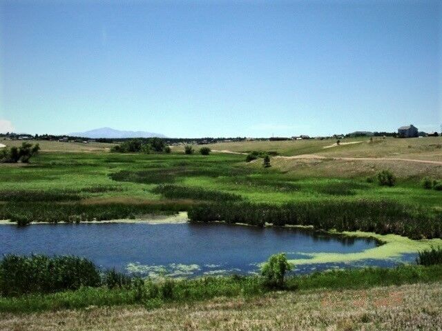 The prairie and wetlands of Woodlake Open Space between Black Forest and Peyton. (Photo courtesy of El Paso County)