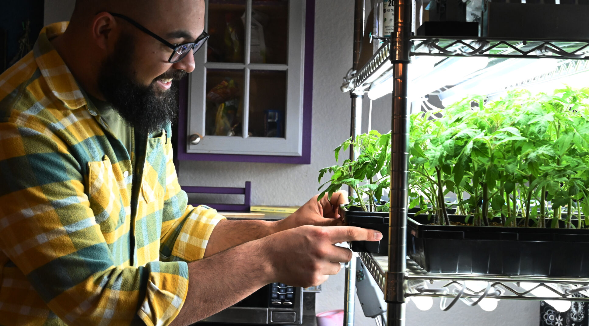 Johnny Siren at work with his plants. Siren found a 21-week course through Veterans to Farmers, a Colorado-founded nonprofit that aims to teach veterans how to grow food sustainably. During that program, he came up with a business idea to help people start their gardens. (Jerilee Bennett)