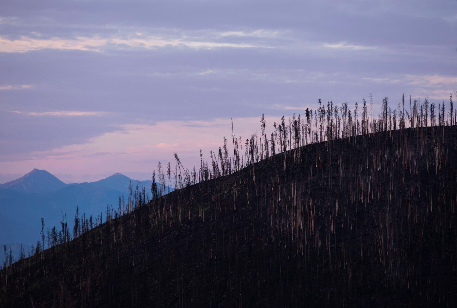 Burned trees stand near Stillwater Pass from the East Troublesome Fire in Grand Lake, Colo., on July 22, 2021. Last October the East Troublesome Fire burned a total of 193,812 acres, becoming the second largest fire in Colorado history. (Chancey Bush/ The Gazette) (Chancey Bush/ The Gazette)