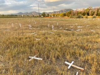 An anti-abortion display of 4000 crosses was knocked over last September when Sacred Heart of Mary's was attacked. The church was also spray-painted. Officials say some of that paint had not been cleaned up when this latest attack occurred. (Mark Haas)