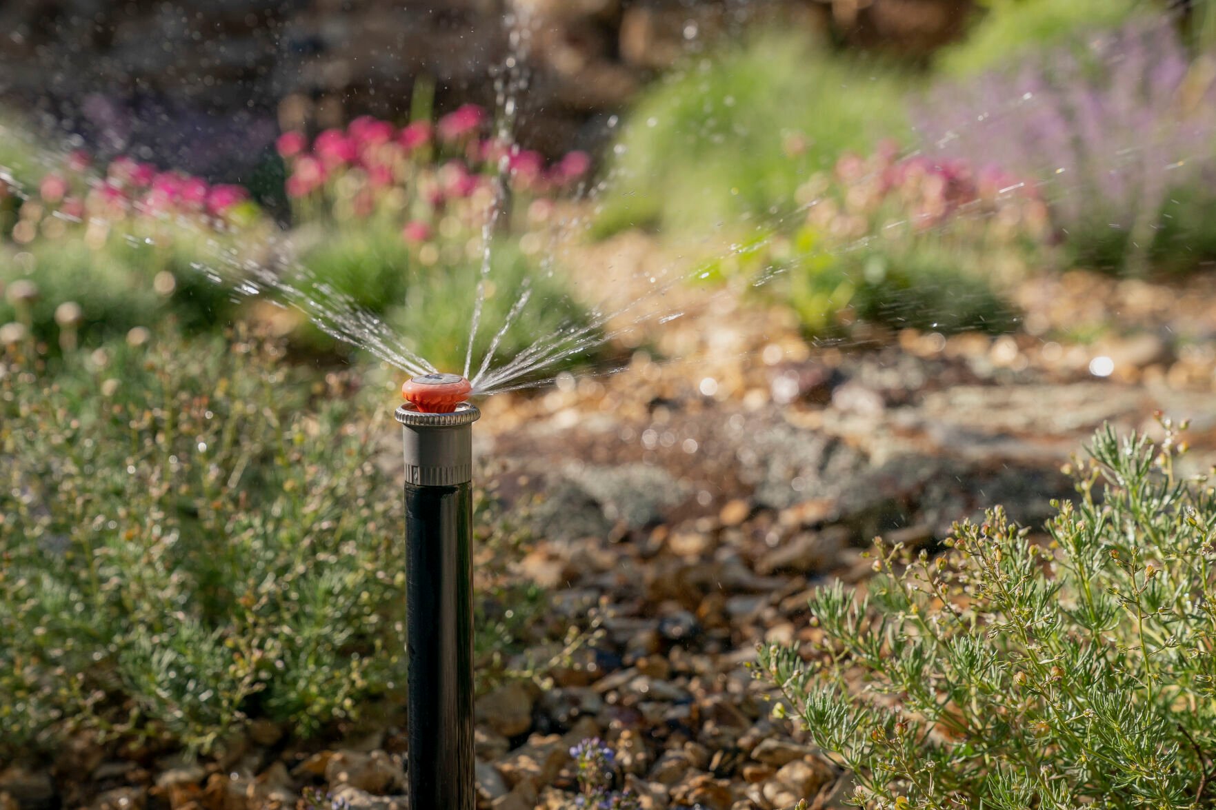 Will outdoor irrigation rules in Colorado Springs tighten amid drought conditions?