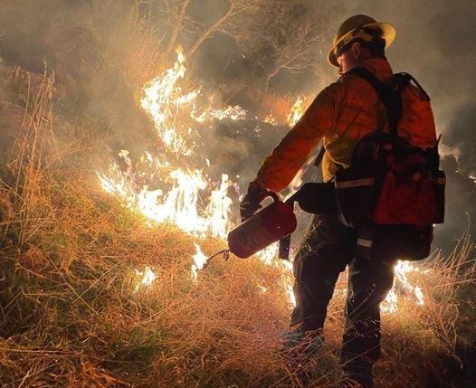 Firefighters significantly increase High Park fire containment