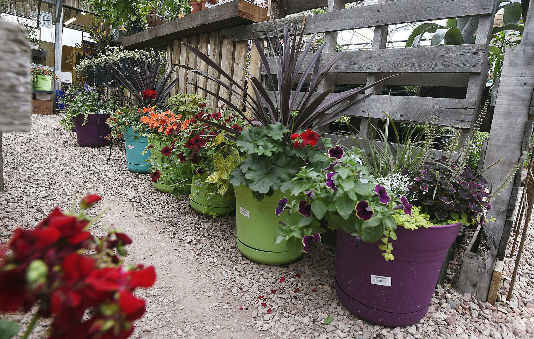 Year-round gardening: Container gardening: the start to something bigger