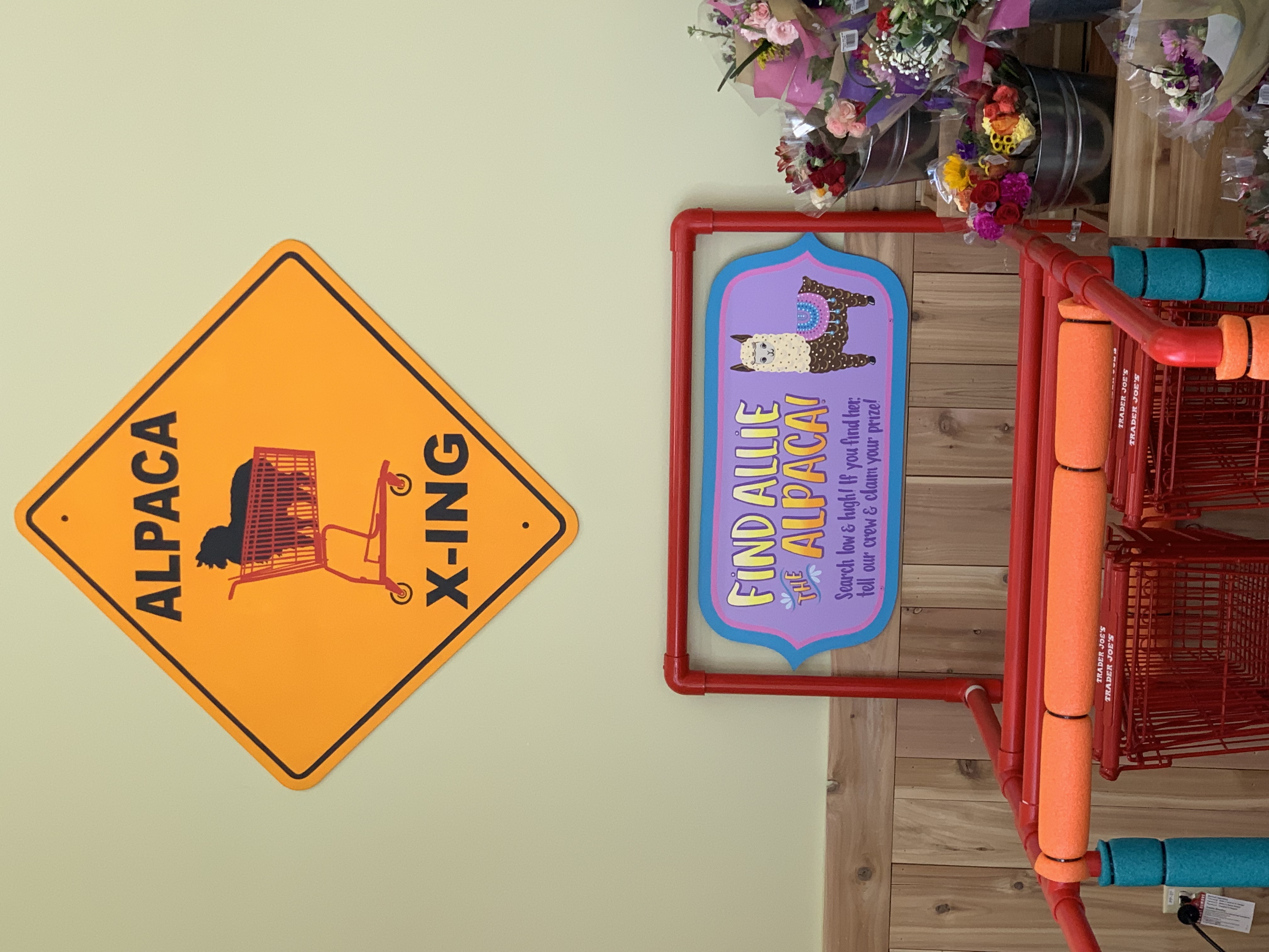 Trader Joe's likes to make the stores fun. Shoppers who find the hidden alpaca get a prize. The store opened in Parker Friday. (DENNIS HUSPENI/THE DENVER GAZETTE)
