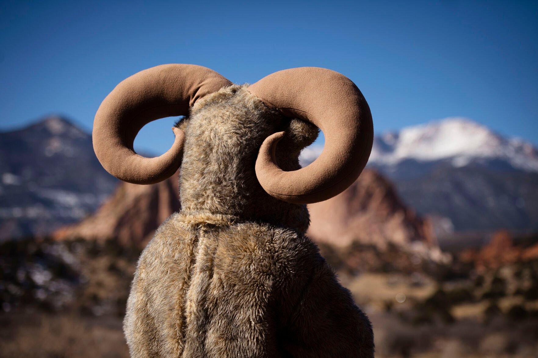 11 of Colorado’s official symbols in nature: Our finest