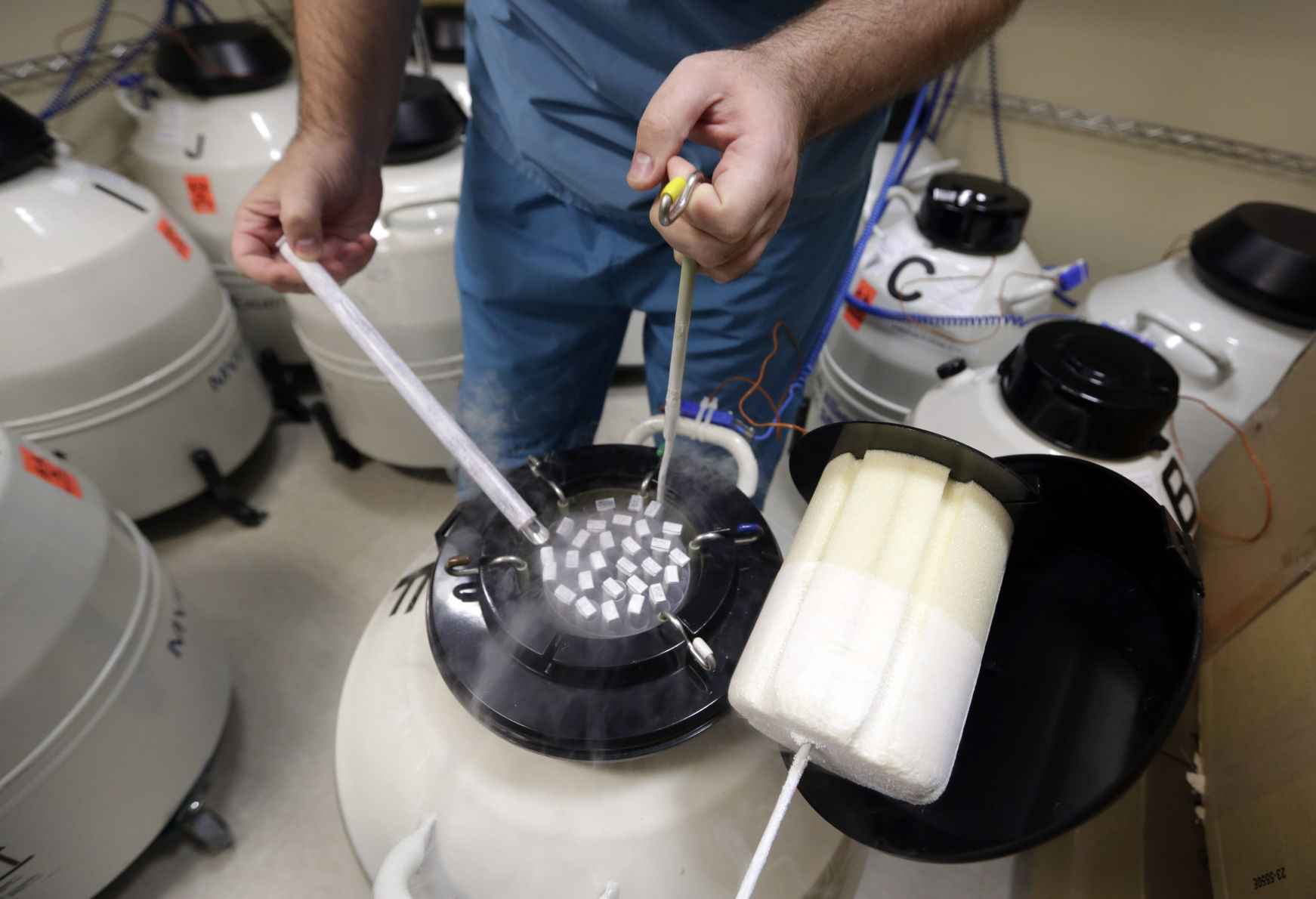 Some of the frozen sperm stored at Reproductive Medicine Associates of New York. (The Associated Press file)