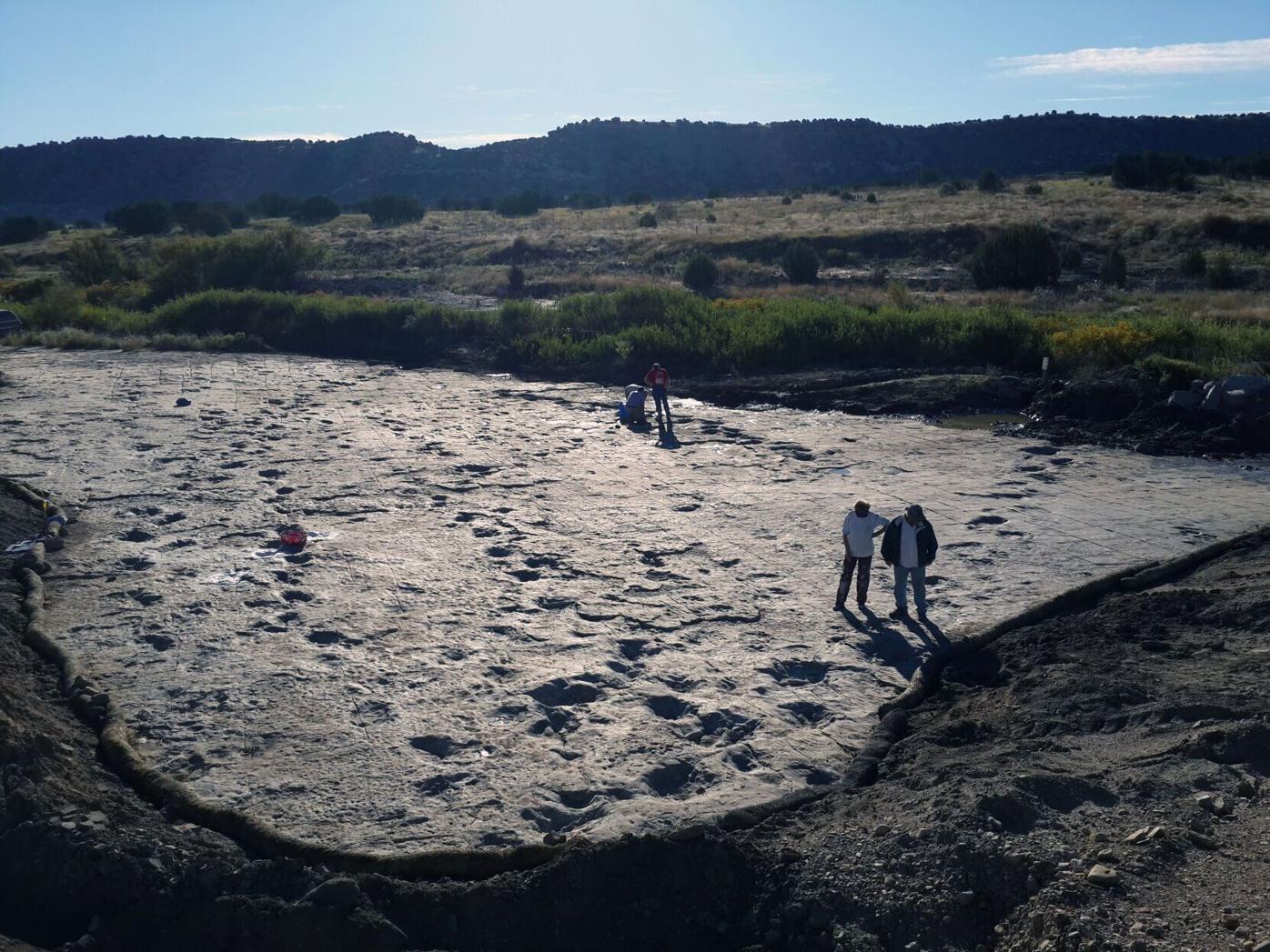 dinosaur tracks 1.jpg