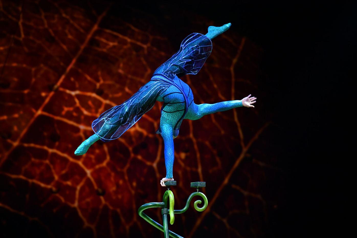 Cirque du Soleil’s ‘Ovo’ returning to Colorado Springs, Loveland and Denver