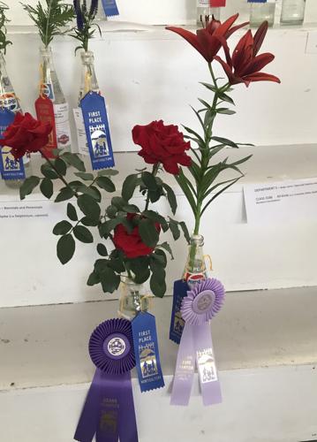 Year-round gardening: Show off at the county fair