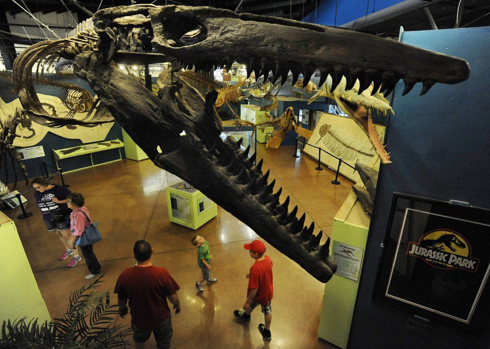 Dinosaur Resource Center