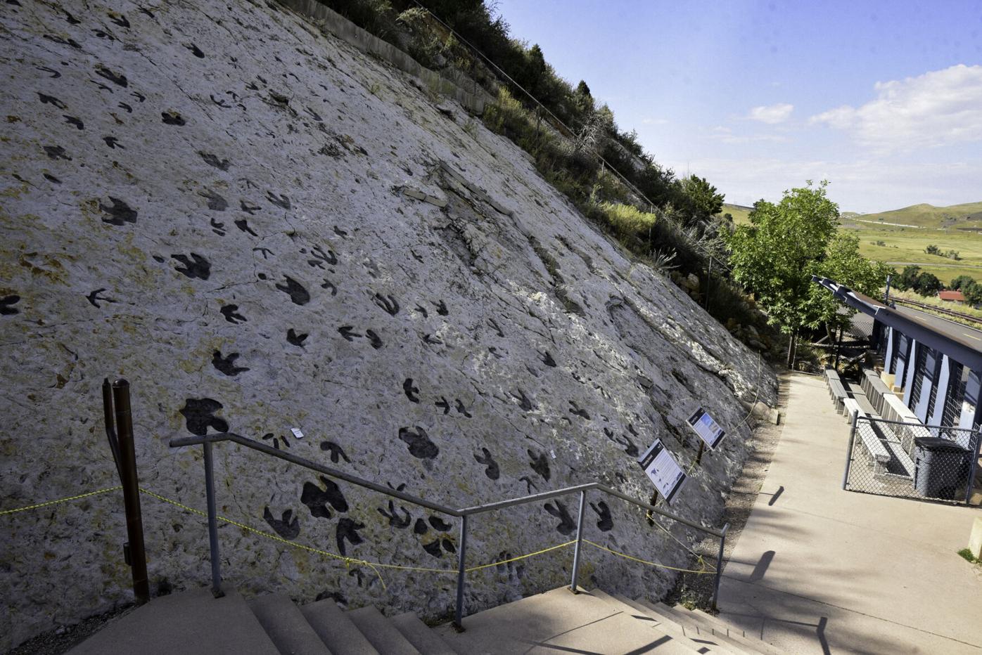 dinosaur ridge 2.jpg