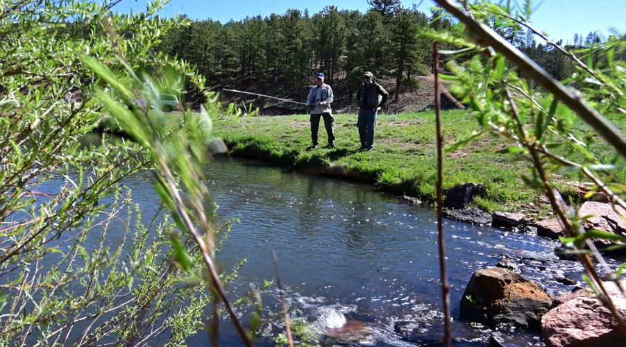 062122-hw-fish 09.JPG