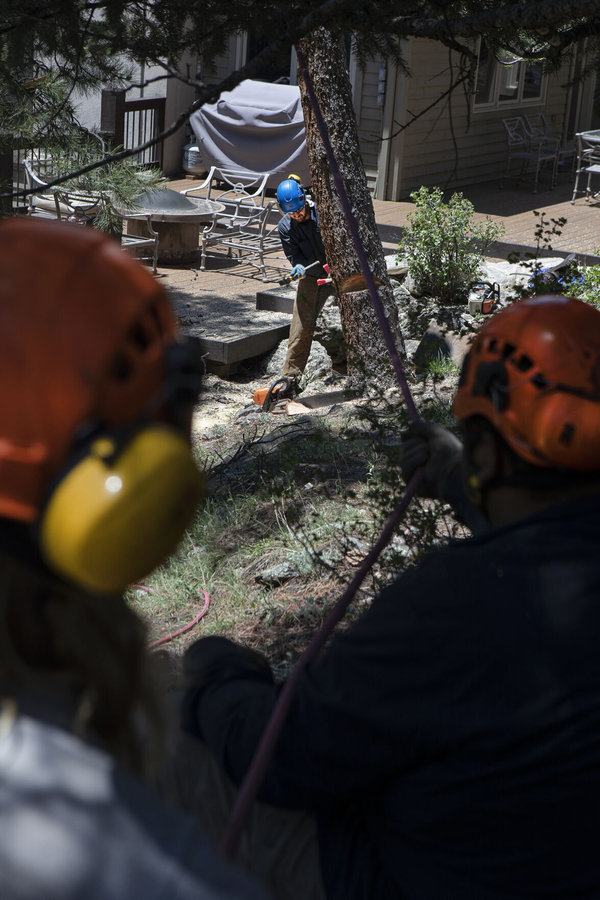 06xx22-dg-news-EvergreenFireMitigation02.JPG