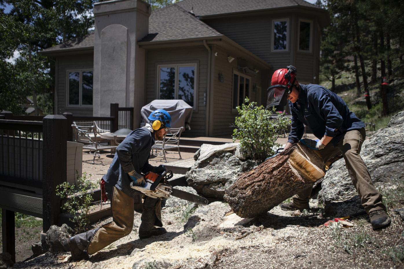 06xx22-dg-news-EvergreenFireMitigation01.JPG
