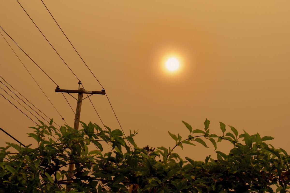 File photo. Photo Credit: barbaraaaa (iStock).