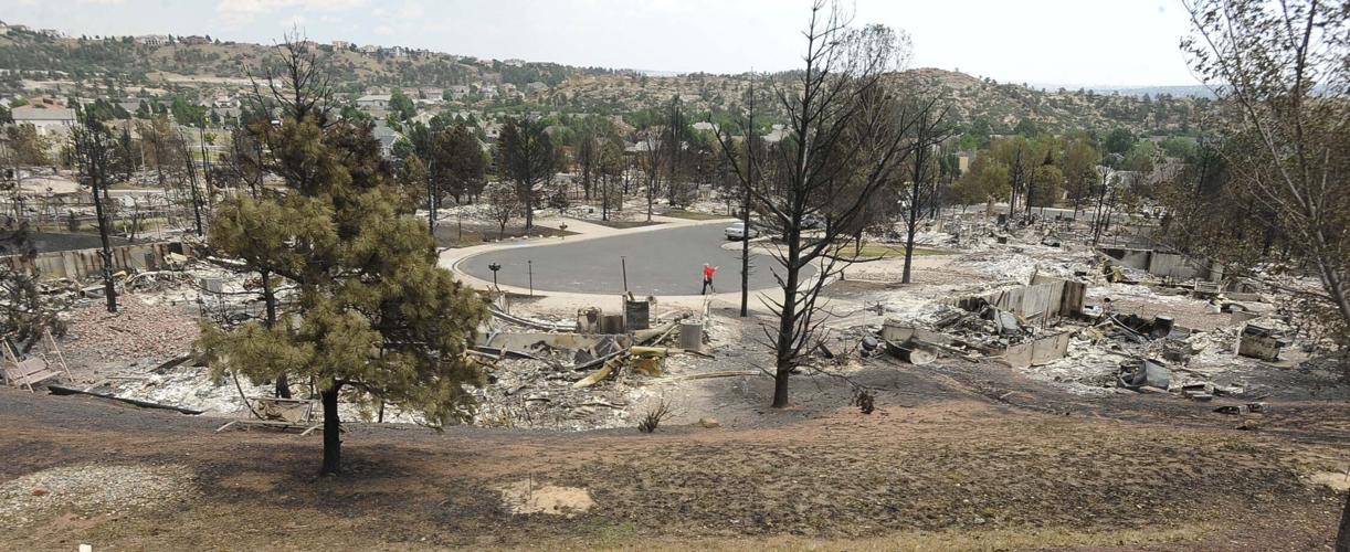 062522-news-petkash 02