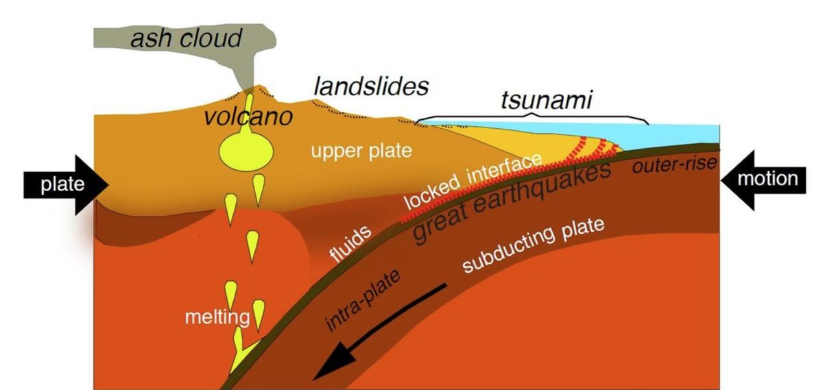 Schematic Cross Section of a Typical Subduction Zone: When tectonic plates converge (illustrated by the thick black arrows on either side of the image), one plate slides beneath the upper plate, or subducts, descending into the Earth’s mantle at rates ...