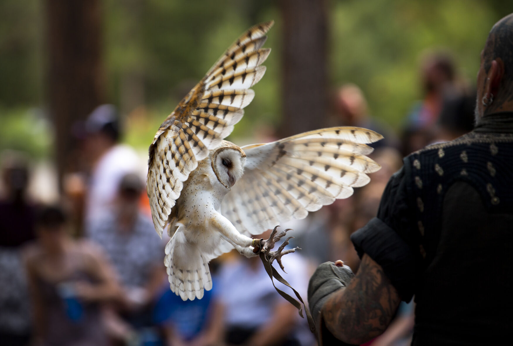 Moments from the Colorado Renaissance Festival in Larkspur on Saturday, July 16, 2022. The festival runs every Saturday and Sunday from 10 a.m. to 6:30 p.m. through August 7. (Parker Seibold / The Gazette) (Parker Seibold / The Gazette)