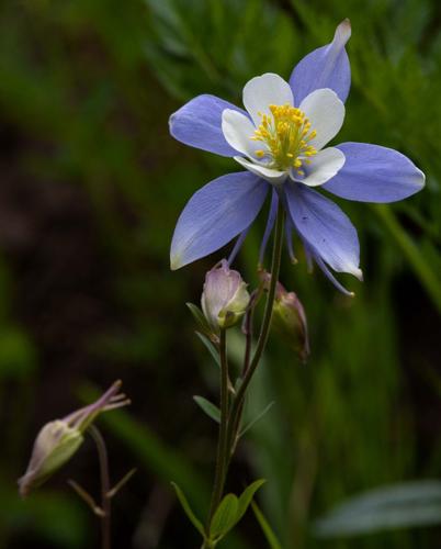 121221-exp-exquisite 1.jpg (copy)