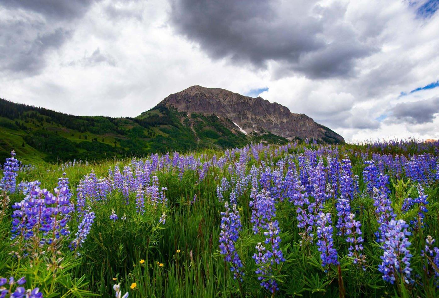 60de0e7f324b0.image.jpg (copy)