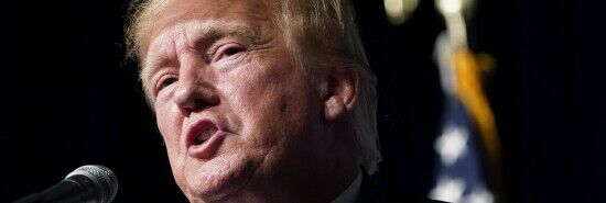 'Lost, not stolen’: Group of conservatives rebuff stolen election claims in report