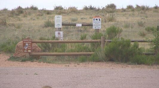 Details released regarding rattlesnake bite that killed 6-year-old in Colorado