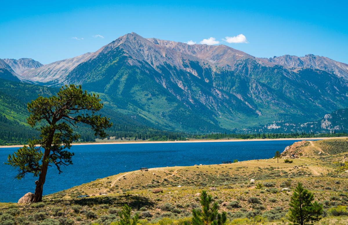 Twin Lakes and Mount Elbert Colorado lonely tree and breathtaking Mountain View’s