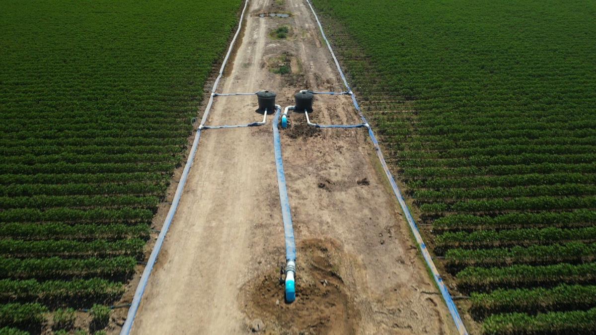 Agriculture 7A.jpg