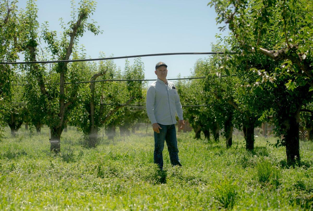 Agriculture 9.JPG