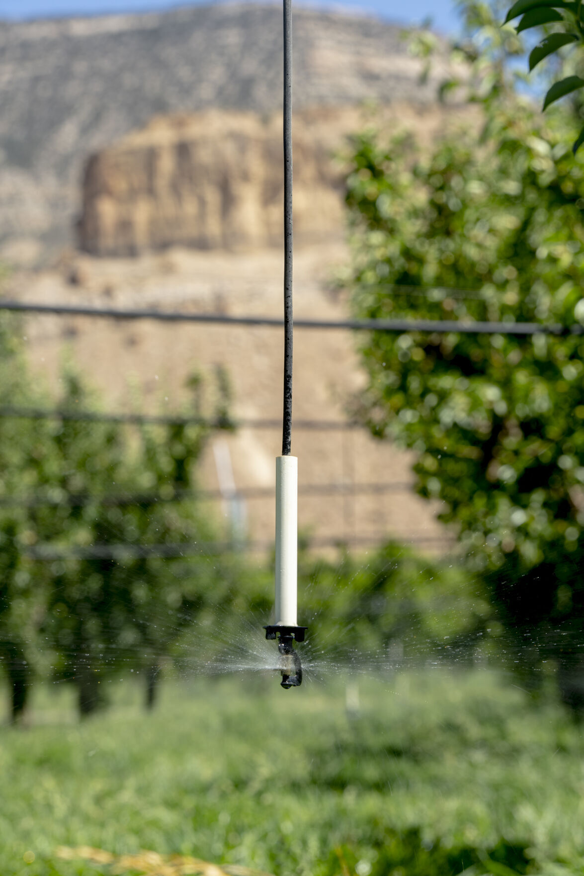 Agriculture 10.JPG