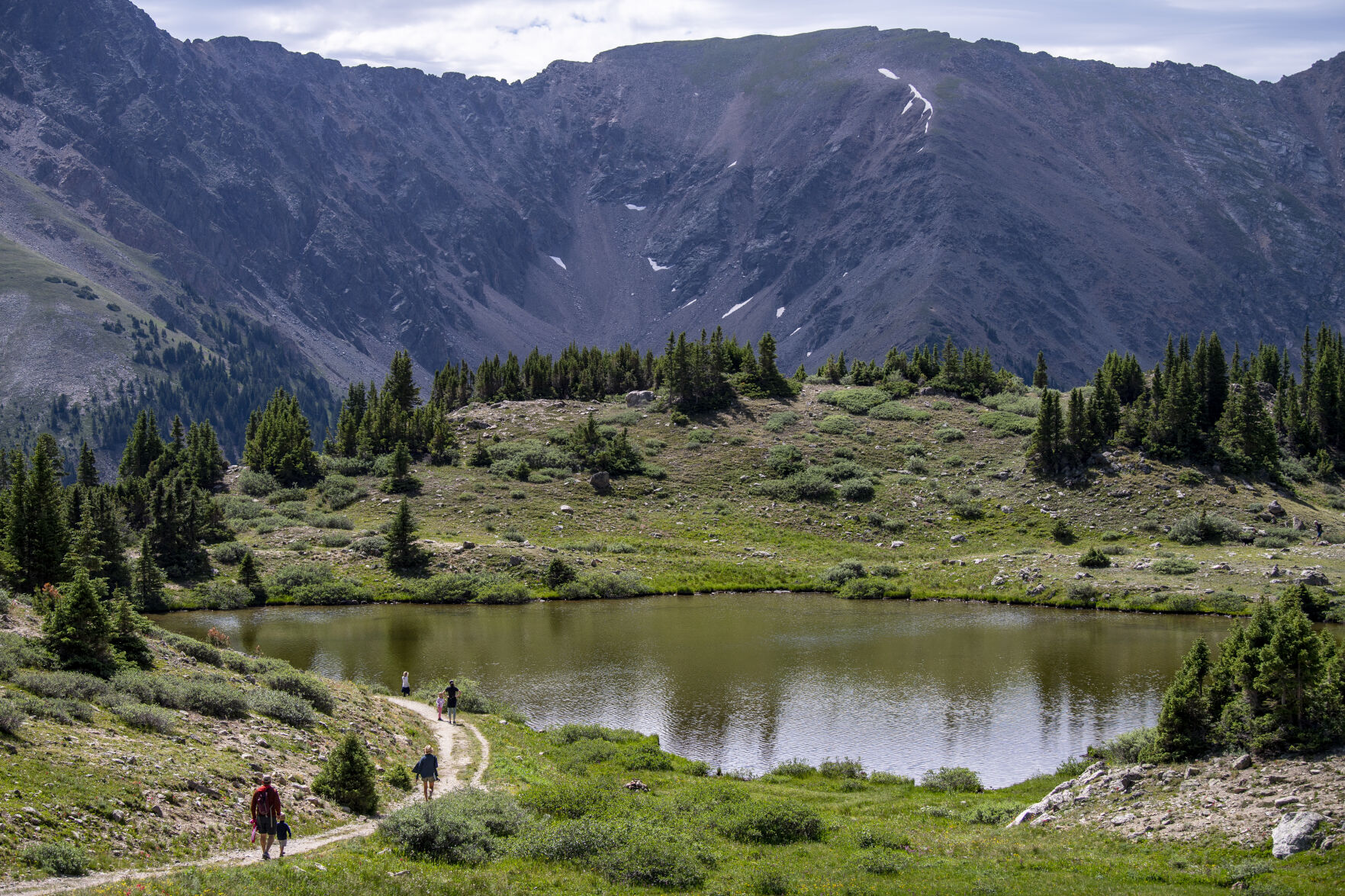 Wildflowers were in full bloom at Lake Kaz and throughout Summit County on Wednesday, July 20, 2022. (Parker Seibold / The Gazette) (Parker Seibold / The Gazette)