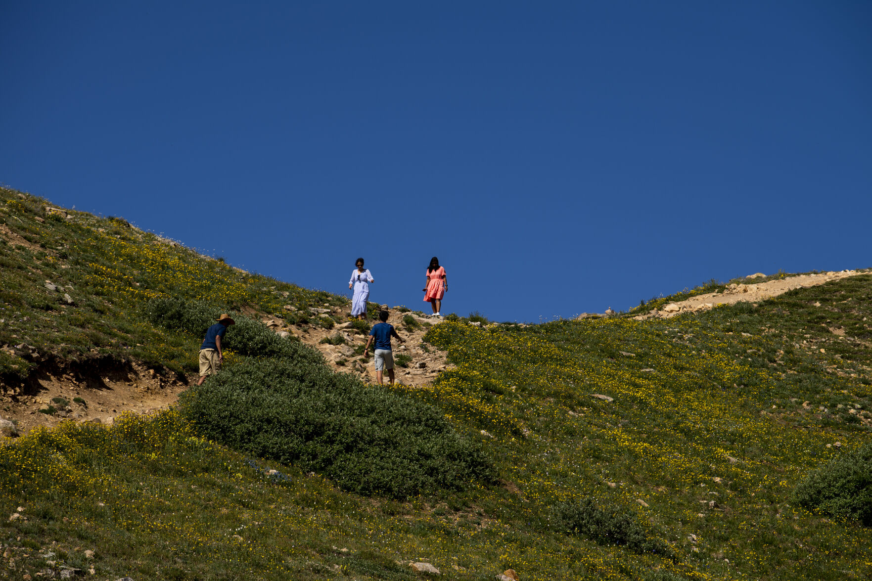 People hike among blooming wildflowers on Loveland Pass on Wednesday, July 20, 2022. (Parker Seibold / The Gazette) (Parker Seibold / The Gazette)
