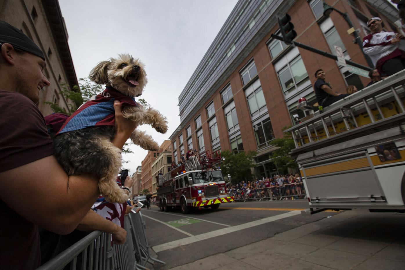 Denver Animal Shelter offers half-price adoption fees for Clear the Shelters campaign