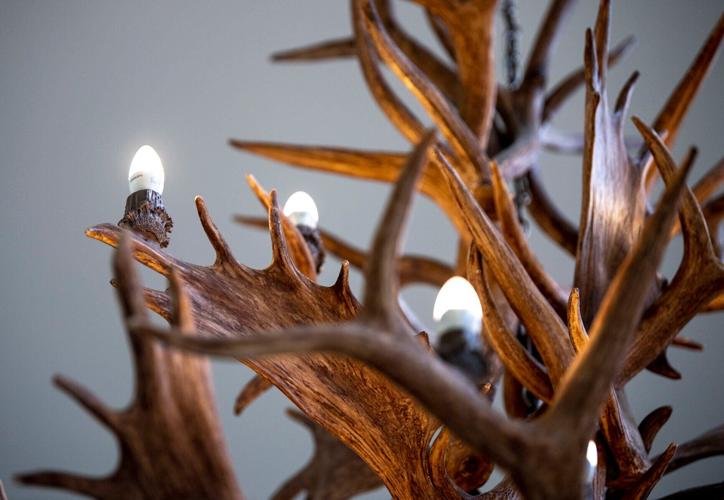 Antlers deatil.JPG