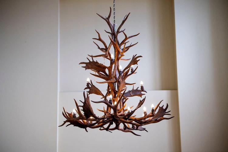 Antlers detail 3.JPG