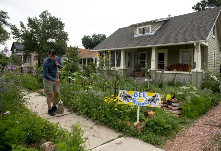 080622-hg-bees 03.JPG