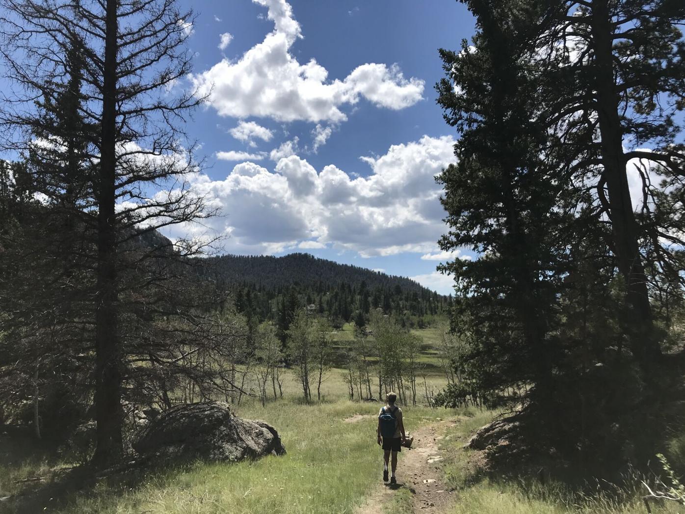 coyote ridge 2.JPG
