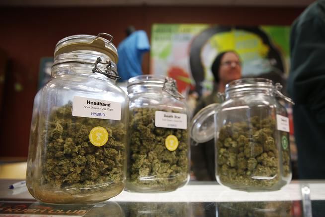 Recreational marijuana questions head to ballot amid market slump