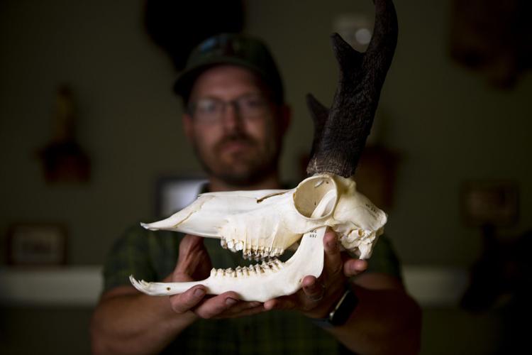 081222-fam-wildlife-museum 2.JPG