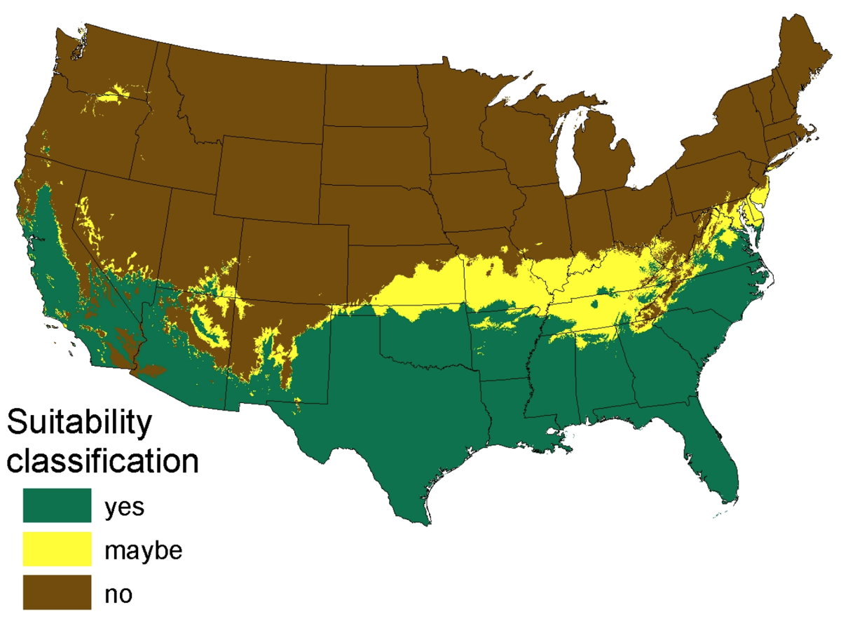 This map shows the projected range of the invasive Burmese python species by 2100. Map Credit: USGS.