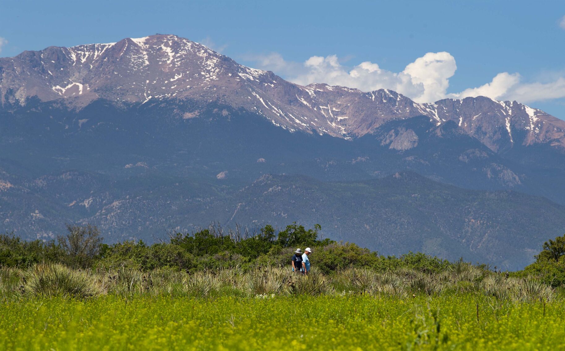 Community representatives who picked new Colorado Springs park director scrutinized
