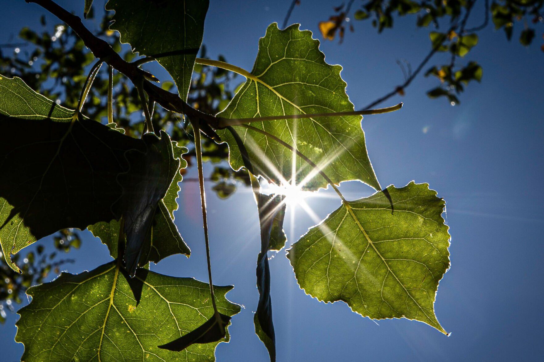 Colorado Springs weather: One more day of near-record temps ahead of ‘abundant subtropical moisture’