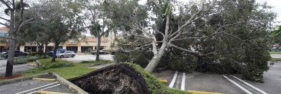 Hurricane Ian: Monster storm makes landfall as Category 4 storm with winds near 150 mph