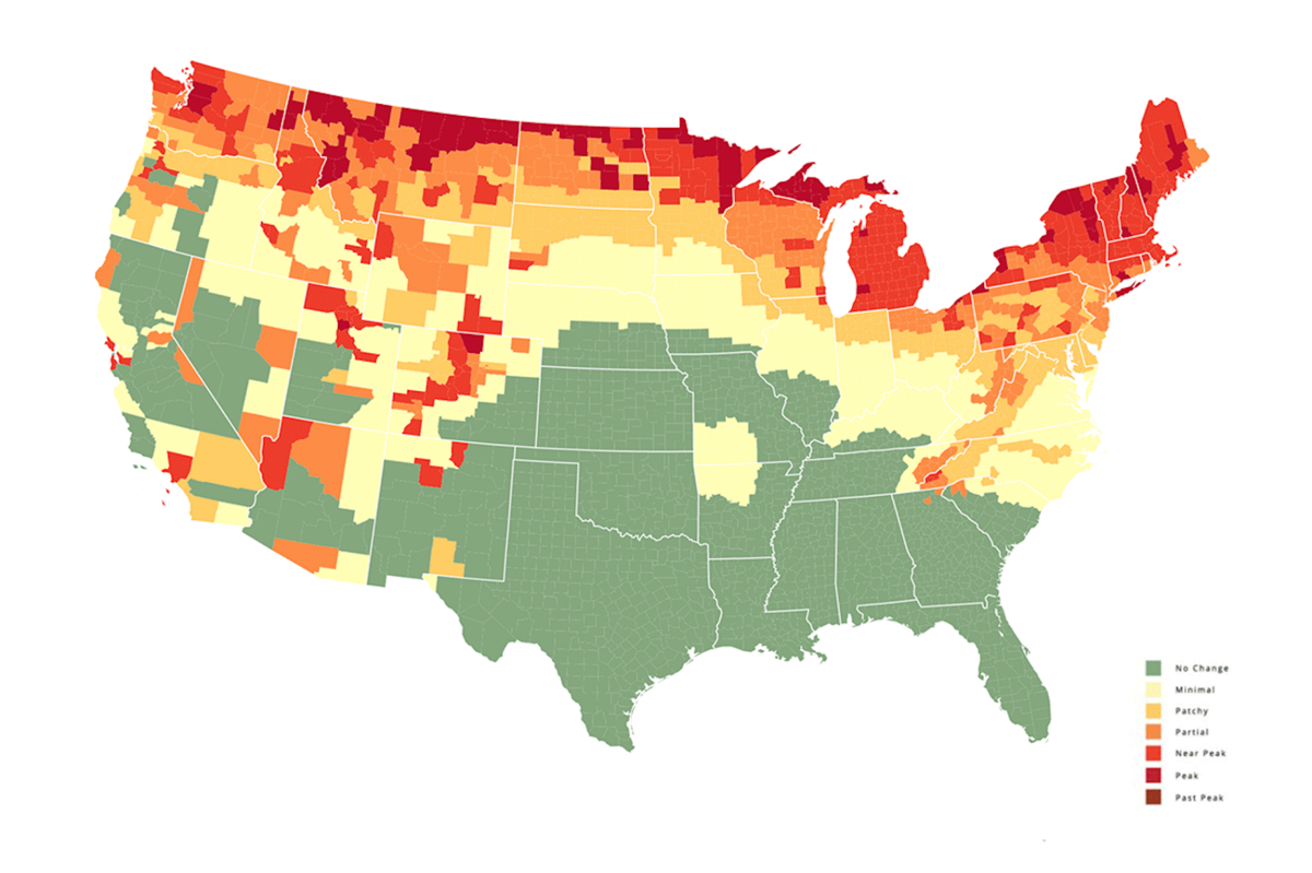 Fall colors forecast for October 3, 2022. Map: SmokyMountains.com.