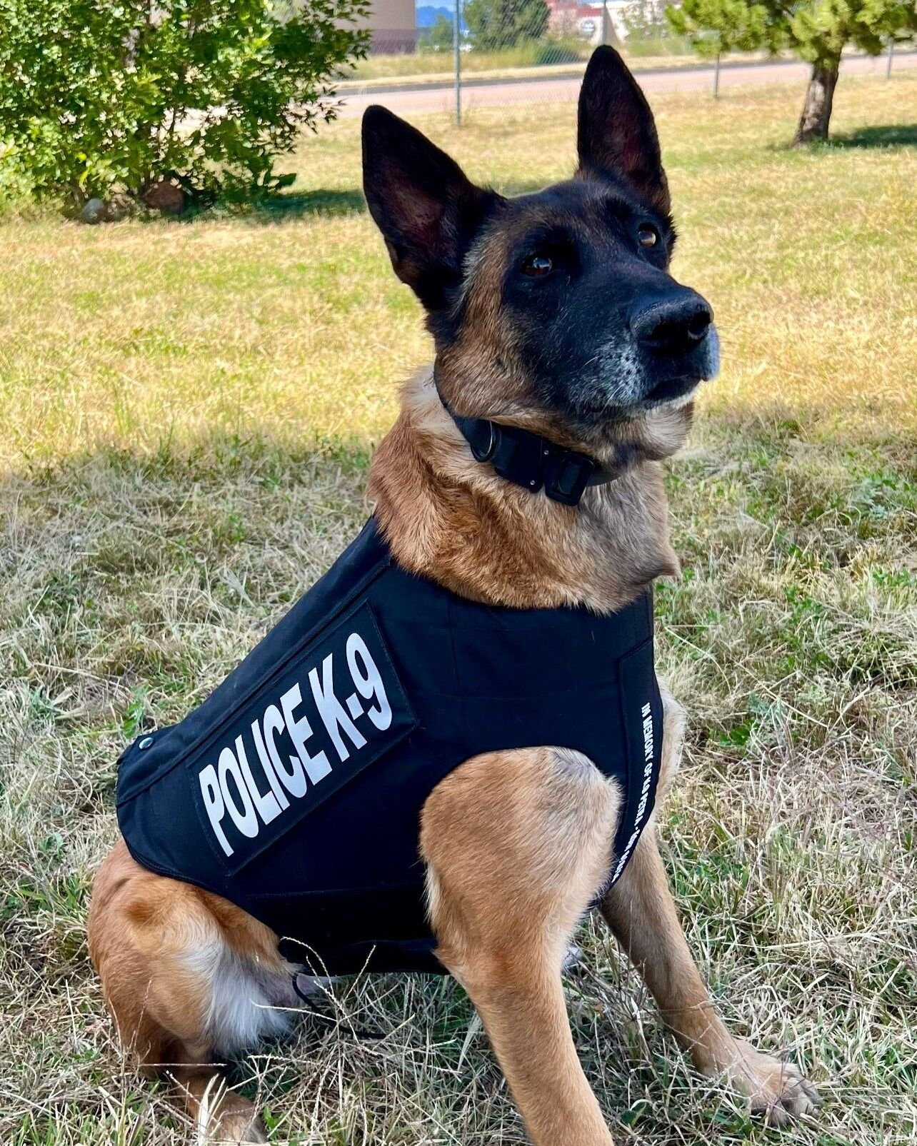 4 K-9 officers receive bulletproof vests