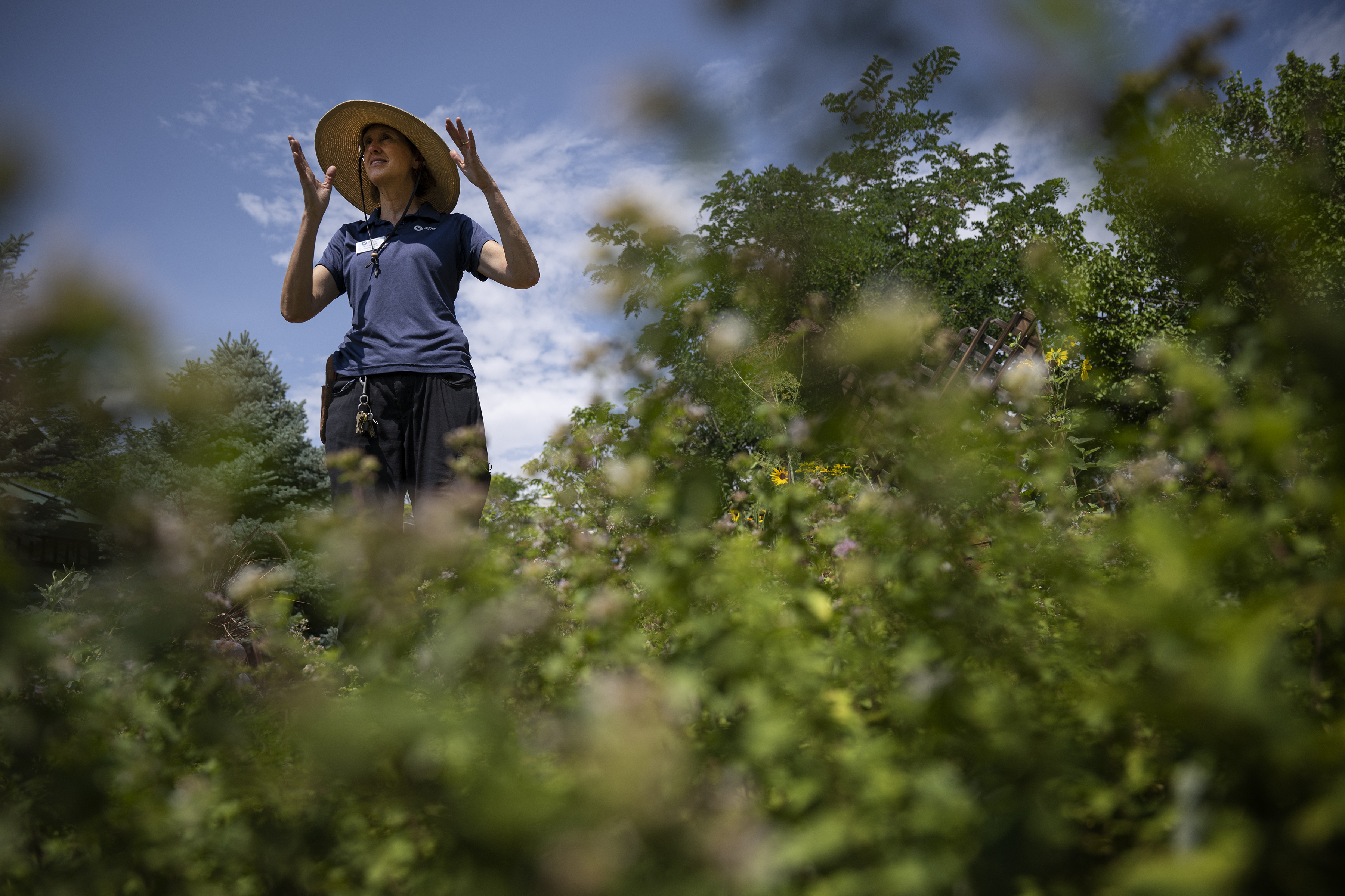 Director of horticulture Amy Yarger shows a section of the outdoor garden that’s specifically planted for pollinators on Sunday, July 31, 2022, at the Butterfly Pavilion in Westminster, Colo.(Timothy Hurst/The Denver Gazette) (Timothy Hurst)