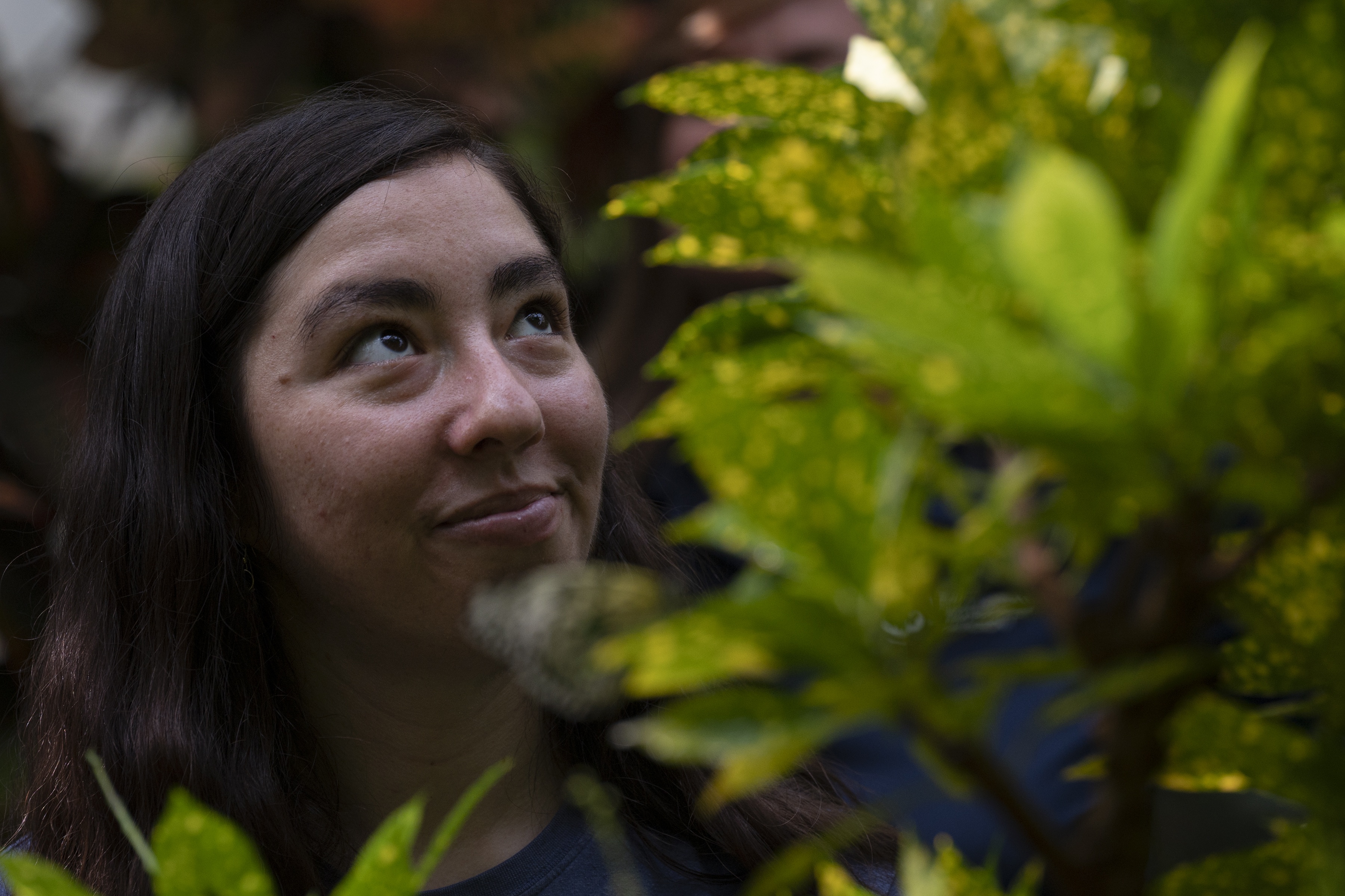 Lepidopterist manager Shiran Hershcovich shows some of the many butterfly species on display on Sunday, July 31, 2022, at the Butterfly Pavilion in Westminster, Colo.(Timothy Hurst/The Denver Gazette) (Timothy Hurst)